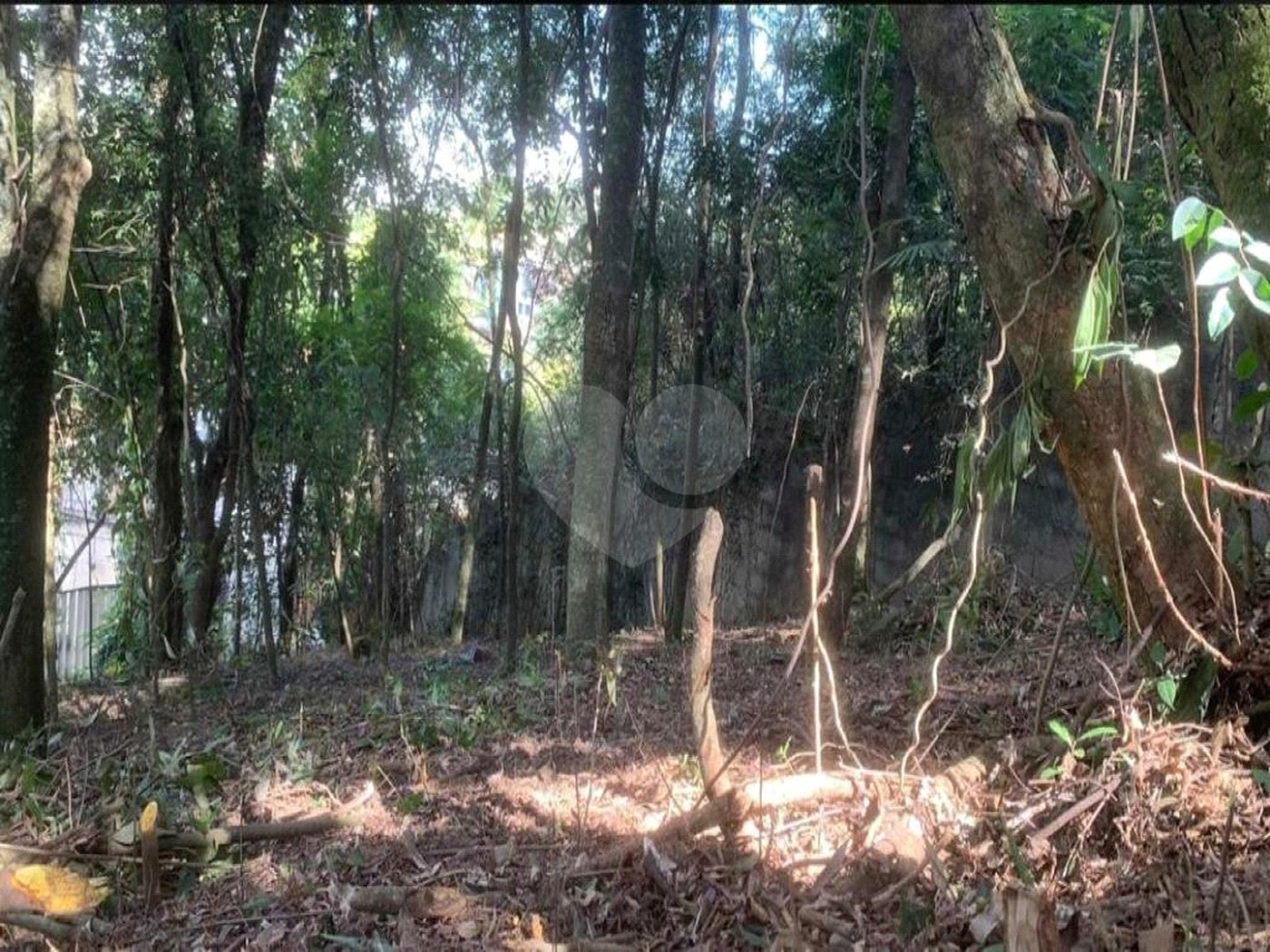 Terreno à venda em Jardim Peri Peri, São Paulo, SP