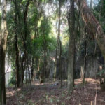 Terreno à venda em Jardim Peri Peri, São Paulo, SP