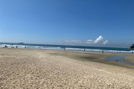 Apartamento Residencial à venda, Vila Alzira, Guarujá - AP1160.