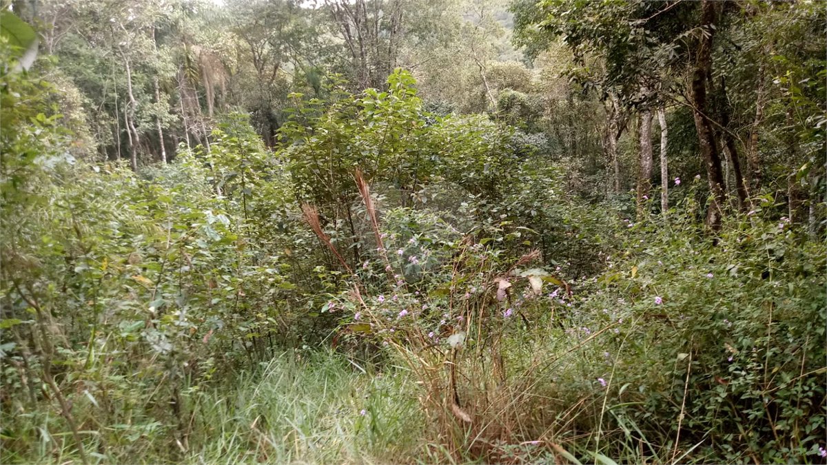 Terreno à venda no condomínio Sausalito, Mairiporã - SP
