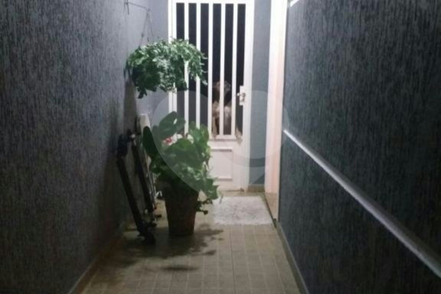 Sobrado à venda com 3 quartos, sendo 1 suíte, em Vila Mazzei, São Paulo, SP