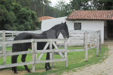 Sítio à venda com 4 suítes no Centro, Salesópolis, SP