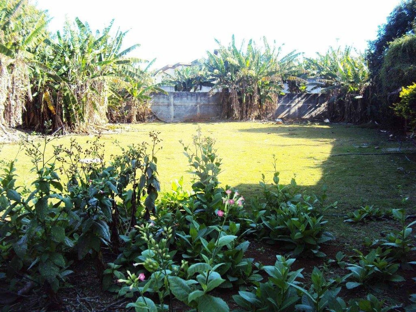 Terreno à venda em Interlagos, São Paulo, SP