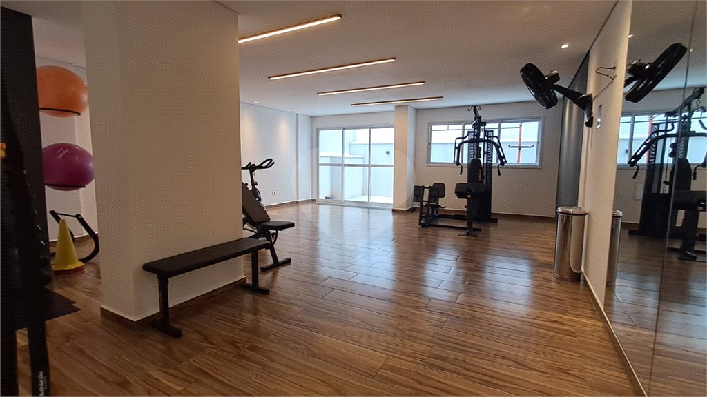 Apartamento à venda ou para alugar com 1 suíte em Vila Paulicéia, São Paulo, SP