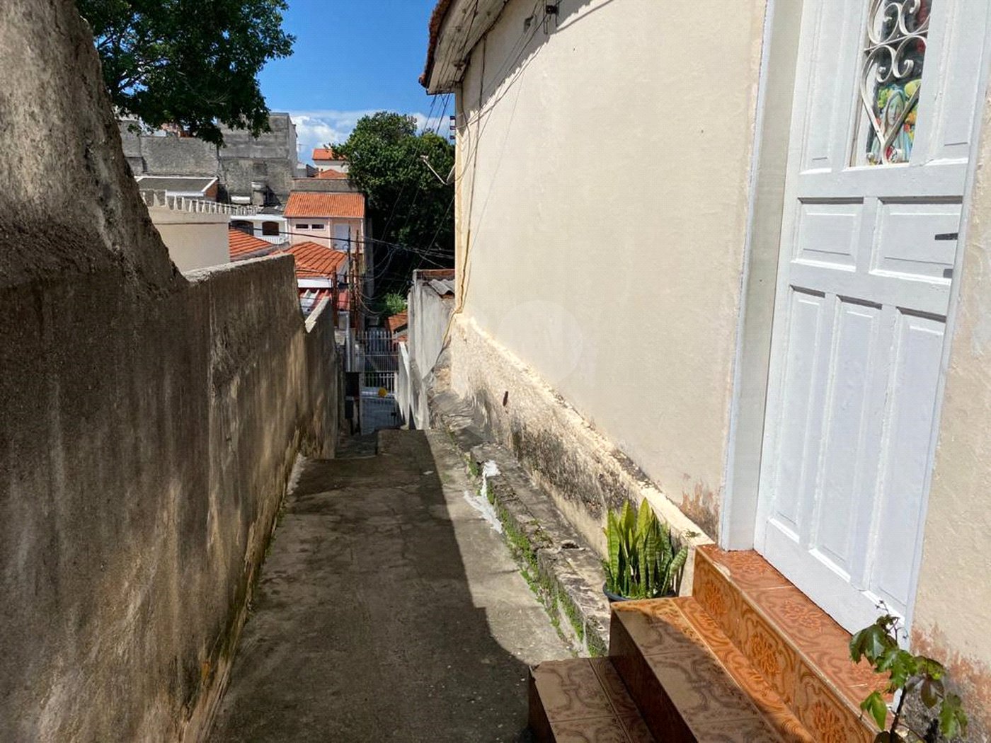 Terreno à venda em Vila Mazzei, São Paulo, SP