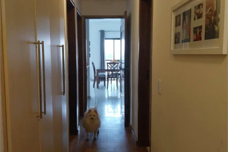 Apartamento à venda com 4 quartos, sendo 1 suíte, em Vila Ipojuca, São Paulo, SP