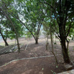 Chácara à venda com 3 quartos, sendo 1 suíte, em Bosque, Vinhedo, SP