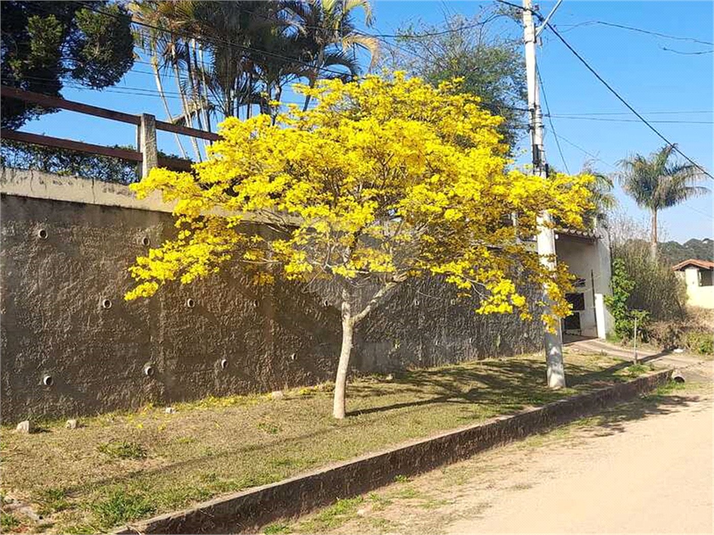 Chácara à venda com 3 suítes em Pavão (canguera), São Roque, SP