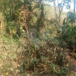 Terreno à venda em Serra da Cantareira, Mairiporã, SP