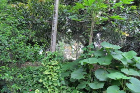 Sobrado à venda com 3 quartos, sendo 1 suíte,  em Vila São Francisco, São Paulo, SP