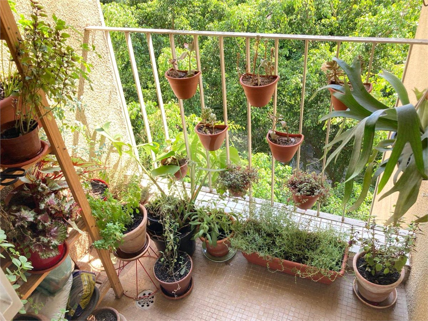 Apartamento à venda com 3 quartos em Santa Cecília, São Paulo, SP