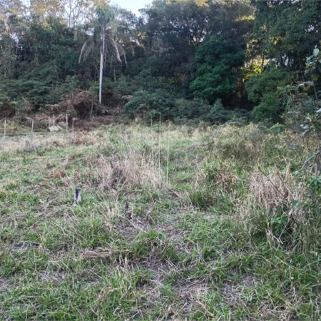 Terreno à venda em Vila Darcy Penteado (mailasqui), São Roque, SP