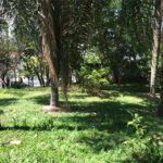 Terreno à venda em Lar São Paulo, São Paulo, SP