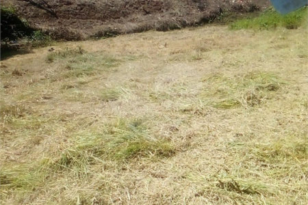 Terreno à venda em Vila Santista, Atibaia, SP