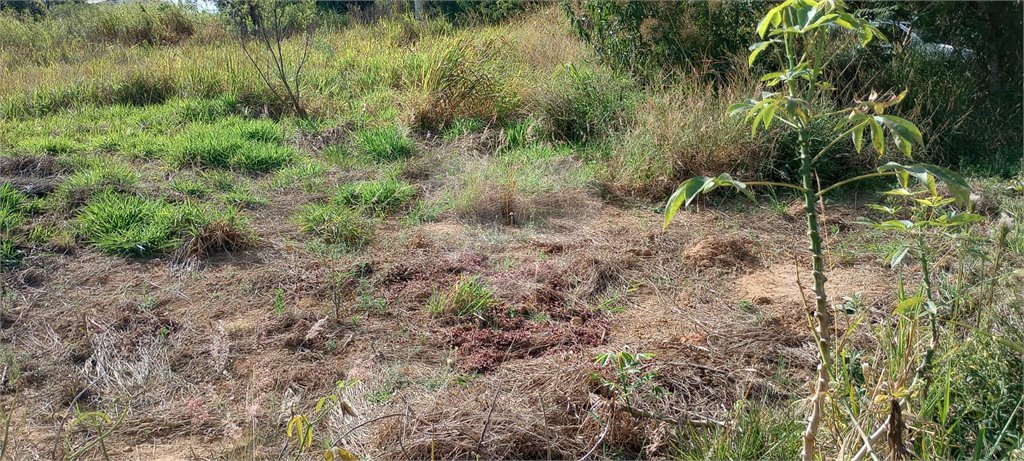 Terreno à venda em Monterrey, Louveira, SP