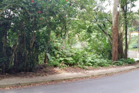 Terreno à venda em Tucuruvi, São Paulo, SP