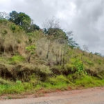 Terreno à venda em Luiz Fagundes, Mairiporã, SP
