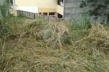 Terreno à venda em Jardim do Trevo, Atibaia, SP