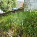 Terreno à venda ou para alugar no Centro, Atibaia, SP