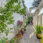 Casa Térrea à venda com 3 quartos, sendo 1 suíte,  em Chácara Monte Alegre, São Paulo, SP