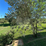 Chácara à venda com 3 quartos, sendo 1 suíte, em Pedro Juan Caballero, Amambay