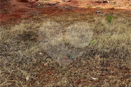 Terreno à venda em Jardim Jurema, Valinhos, SP