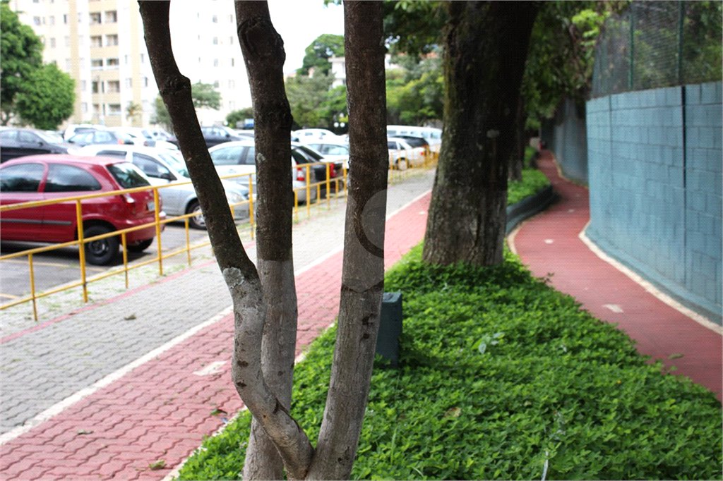 Apartamento à venda com 3 quartos em Vila Nova Cachoeirinha, São Paulo, SP