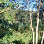 Terreno à venda no condomínio Alpes da Cantareira, Mairiporã - SP