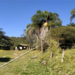 Terreno à venda em Vila Palmares, Franco da Rocha, SP