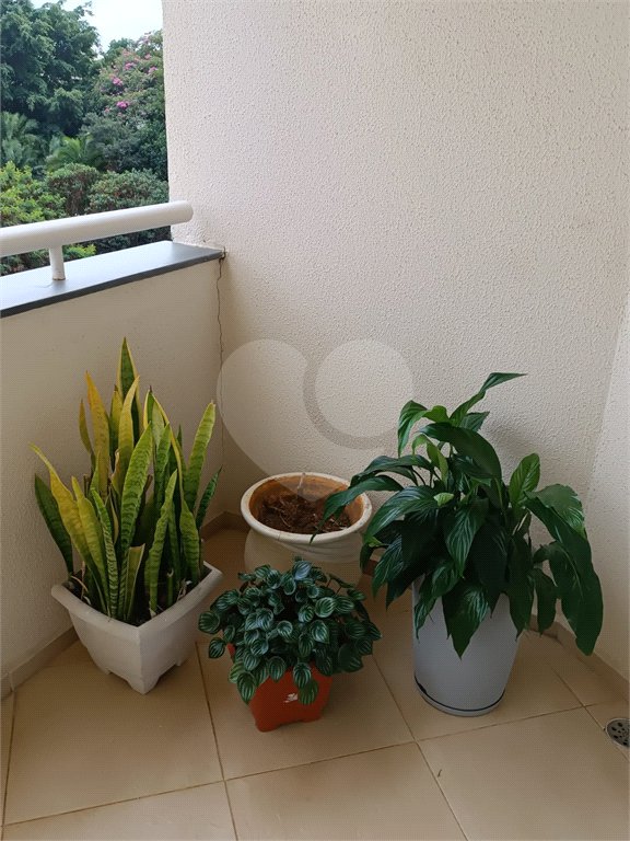 Apartamento à venda com 3 quartos, sendo 1 suíte, em Casa Verde, São Paulo, SP