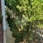 Sobrado à venda ou para alugar com 3 quartos, sendo 1 suíte, em Santana, São Paulo, SP
