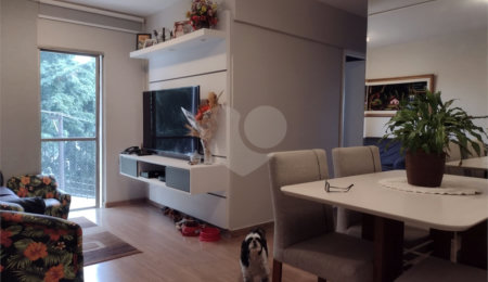 Apartamento à venda com 3 quartos, sendo 1 suíte,  em Casa Verde, São Paulo, SP