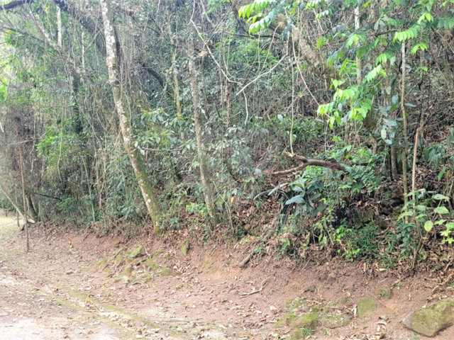 Terreno à venda em Serra da Cantareira, Mairiporã, SP