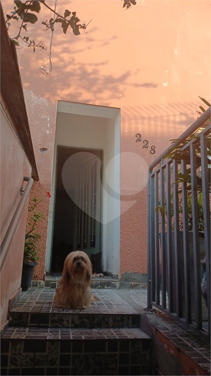 Casa à venda com 3 quartos em Vila Maria, São Paulo, SP