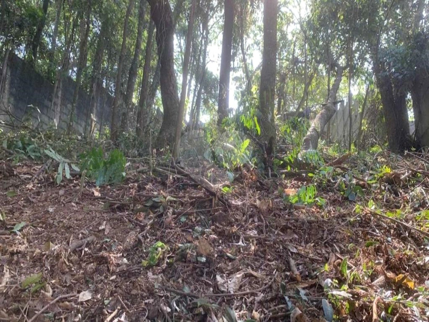 Terreno à venda em Jardim Peri Peri, São Paulo, SP