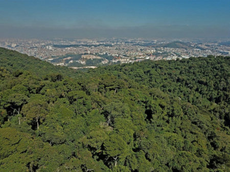 Condomínios na Serra da Cantareira: conheça os diferenciais de morar em meio à natureza com segurança
