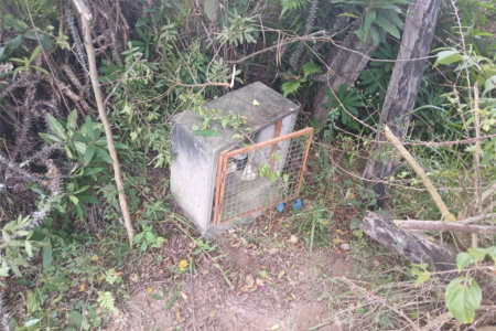 Chácara à venda em Bairro Biscoito Duro, Itapetininga, SP