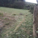 Chácara à venda com 2 quartos em Chácaras Berro D'água, Itu, SP