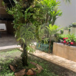 Casa à venda ou para alugar com 3 quartos, sendo 1 suíte, em Parque das Colinas, Valinhos, SP