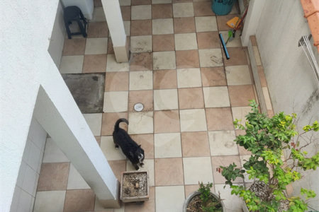 Sobrado à venda com 3 quartos, sendo 1 suíte, em Santo Amaro, São Paulo, SP