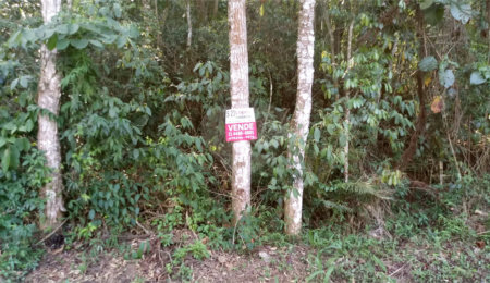 Terreno à venda em Serra da Cantareira, Mairiporã, SP