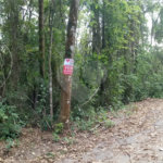 Terreno à venda em Serra da Cantareira, Mairiporã, SP