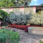 Chácara à venda com 2 quartos em Jardim Planalto, Paulínia, SP