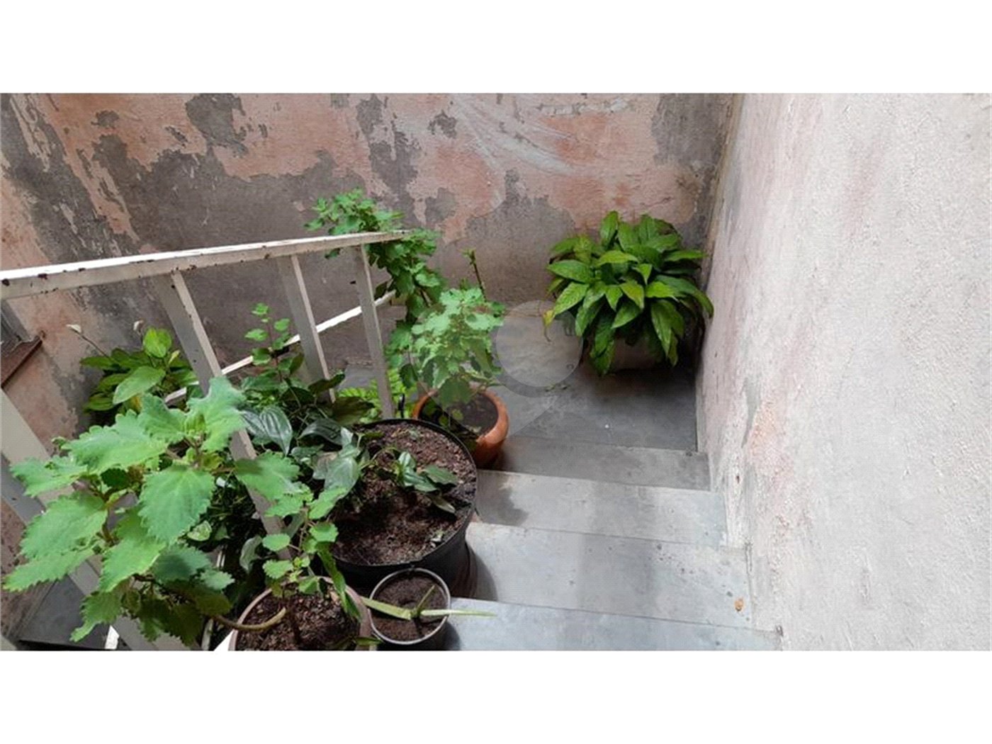 Casa à venda ou para alugar com 5 quartos, sendo 1 suíte, em Vila Romero, São Paulo, SP