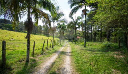 Terreno à venda em Vila Darcy Penteado (mailasqui), São Roque, SP