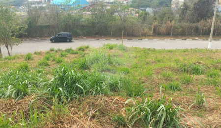 Terreno à venda em Residencial Capivari, Louveira, SP