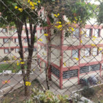 Apartamento a venda no Jaçanã