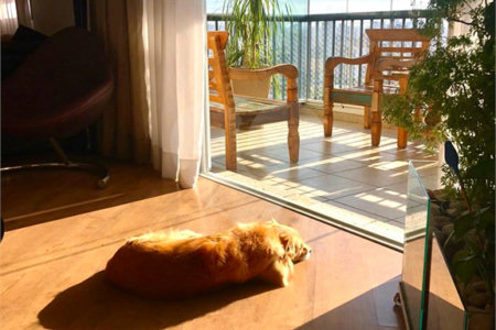 Apartamento a venda na Mooca