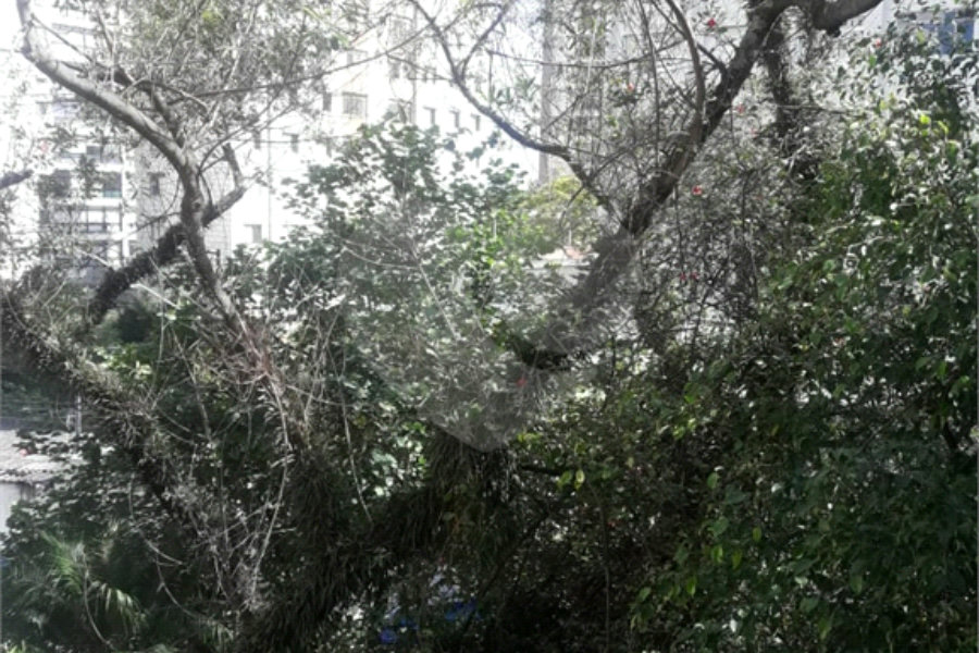 APARTAMENTO DE 3 QUARTOS À VENDA NO PARAÍSO