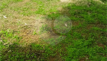 Terreno à venda em São José, Poços de Caldas, MG